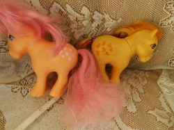 butterscotch pony 2 b